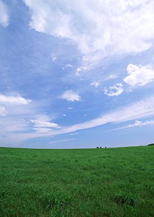 静岡県富士市の家族葬専用斎場「家族葬のタクセル天間」｜低価格・安心の葬儀サービス